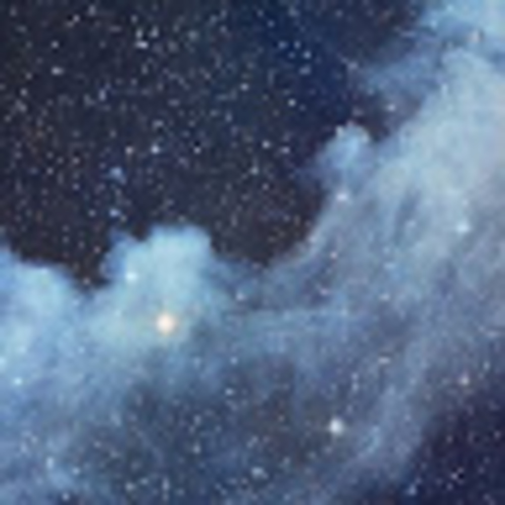 Meet your Posher, Madisyn